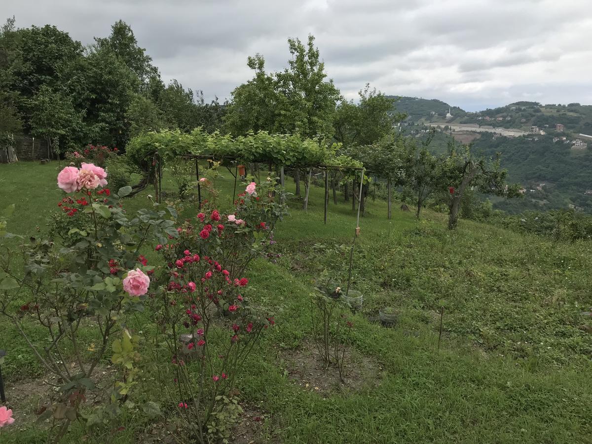 Sea & Nature Villa Hisar Trabzon Zewnętrze zdjęcie