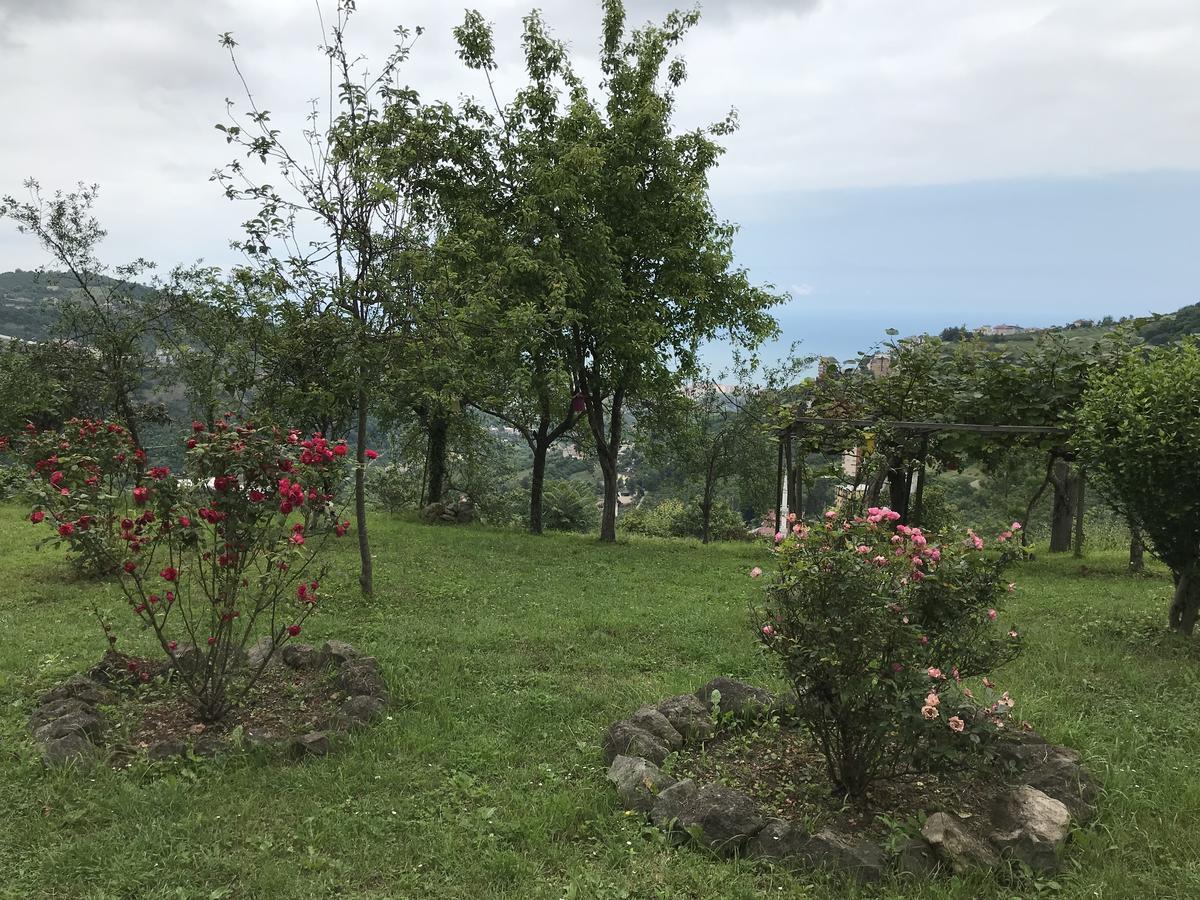 Sea & Nature Villa Hisar Trabzon Zewnętrze zdjęcie