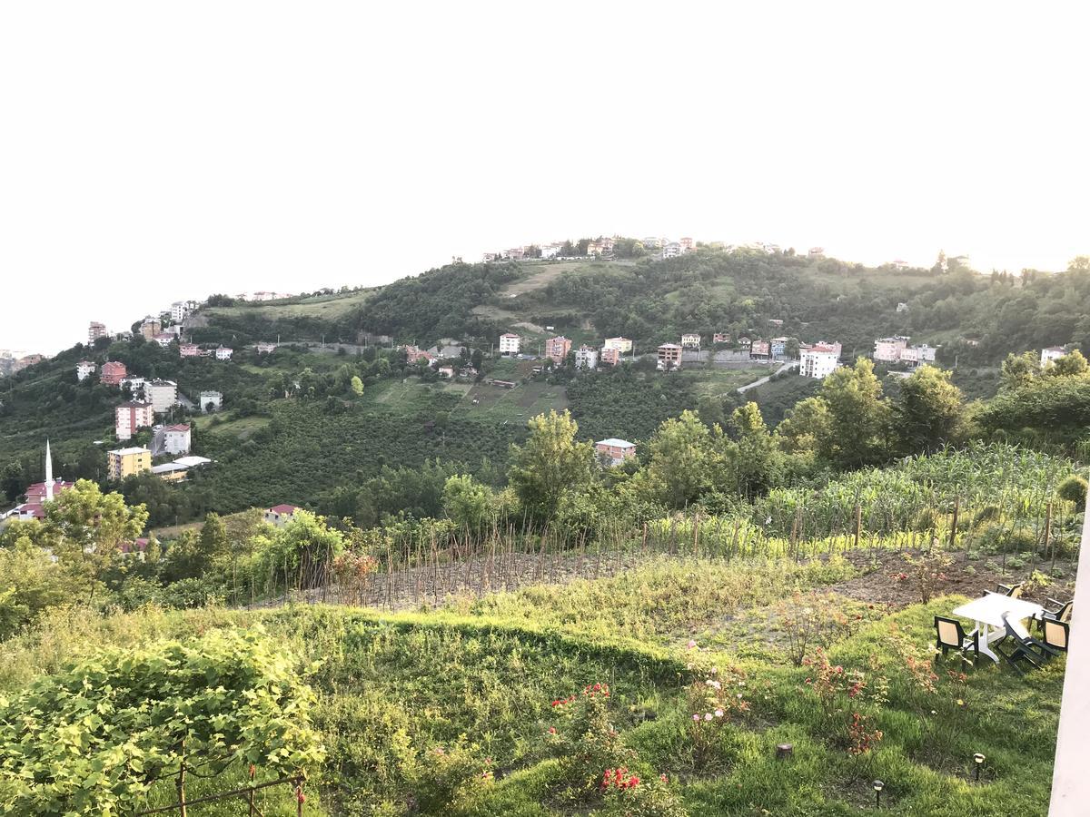 Sea & Nature Villa Hisar Trabzon Zewnętrze zdjęcie
