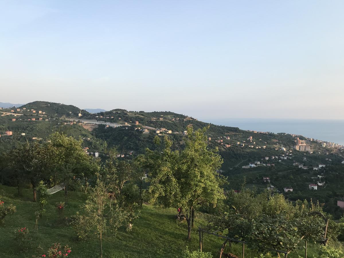 Sea & Nature Villa Hisar Trabzon Zewnętrze zdjęcie